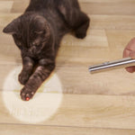 2 in 1 Red Laser Point Cat Toy Pen